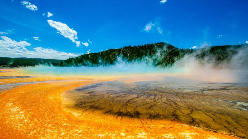 Yellowstone Embraces Starlink: Internet Reaches Wild Frontier