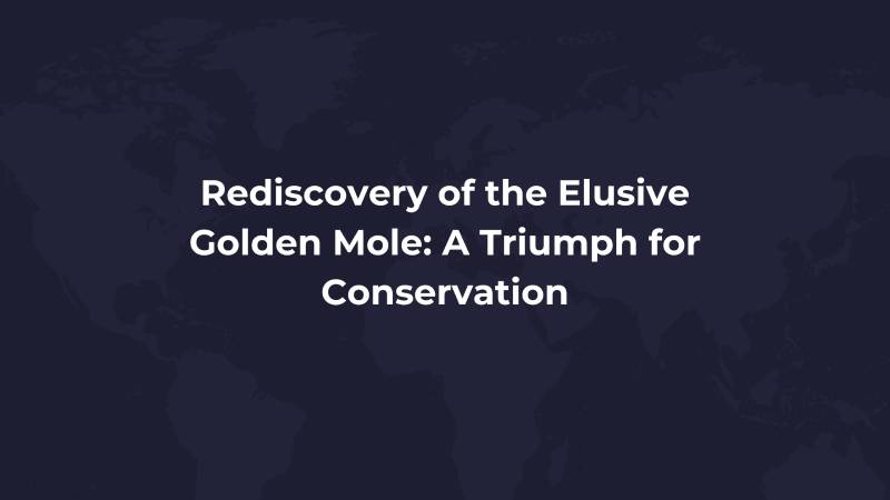 Rediscovery of the Elusive Golden Mole: A Triumph for Conservation