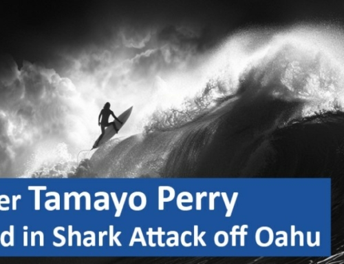 Surfer Tamayo Perry Killed in Shark Attack off Oahu