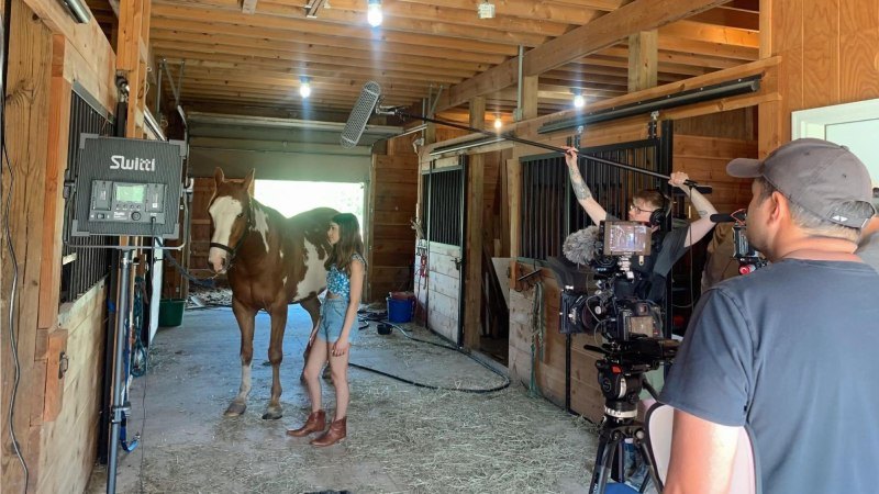 “Joy of Horses” A New Film by Ava Justin Productions Release dates Set