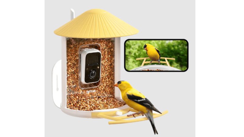 Birdfy Reveals The Secrets Of Goldfinch Meaning And Symbolism Through Its Smart Bird Feeder Cameras