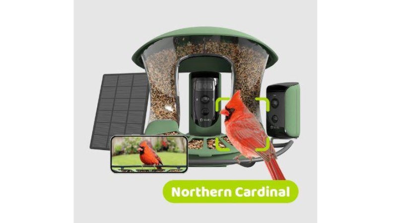 Discover Cardinal Symbolism: Birdfy Launches Smart Bird Feeder Cameras For A Deeper Bird-Watching Experience