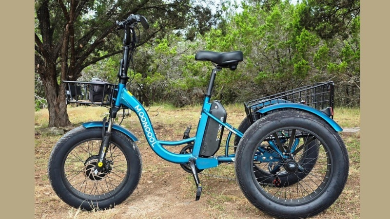 Which E-trike is Best for You?