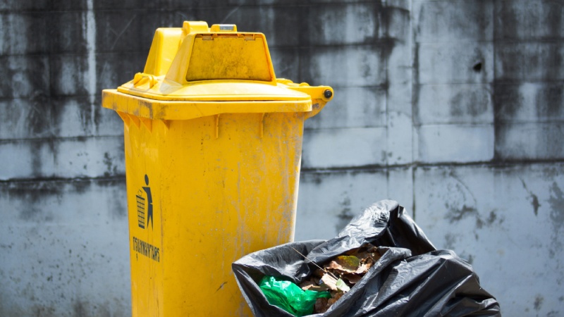 5 Ways that Waste Management Reduces Environmental Impact