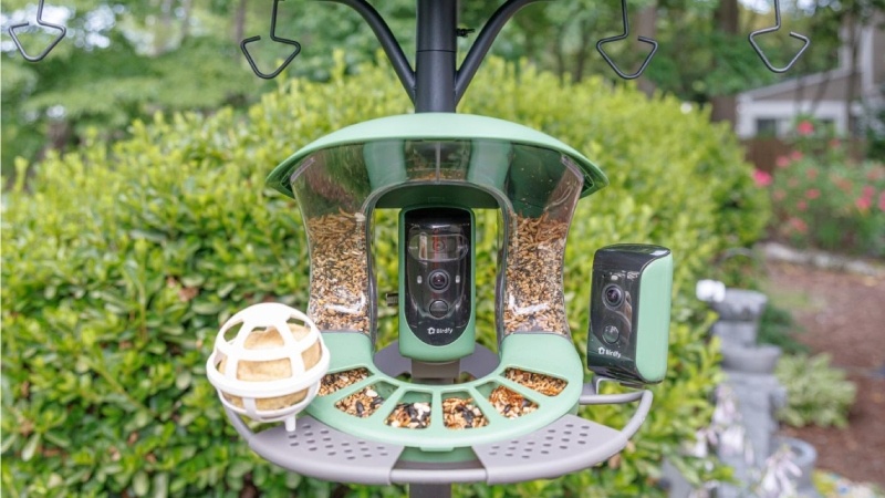 Birdfy Unveils Bird Feeder 2 – Exploring The Diverse Uses Of Bird Beaks