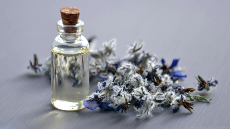 Essential Oils: Nature's Healing Compounds