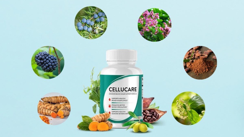 List Of CelluCare Ingredients And Their Role