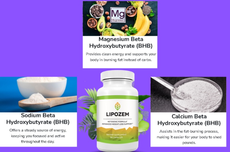 Key Ingredients in Lipozem