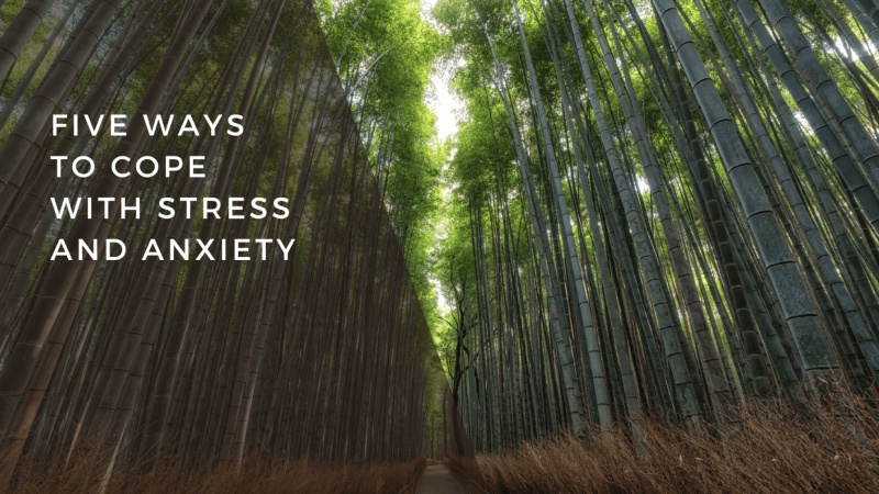 Top five trending ways to cope with stress and anxiety