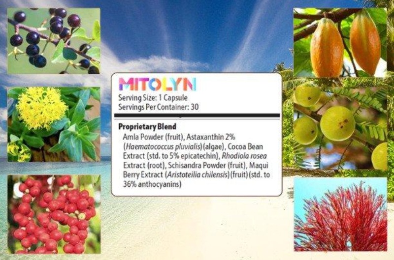 What Are The Ingredients in Mitolyn?