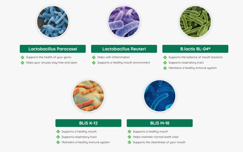 What are the ingredients in ProDentim?