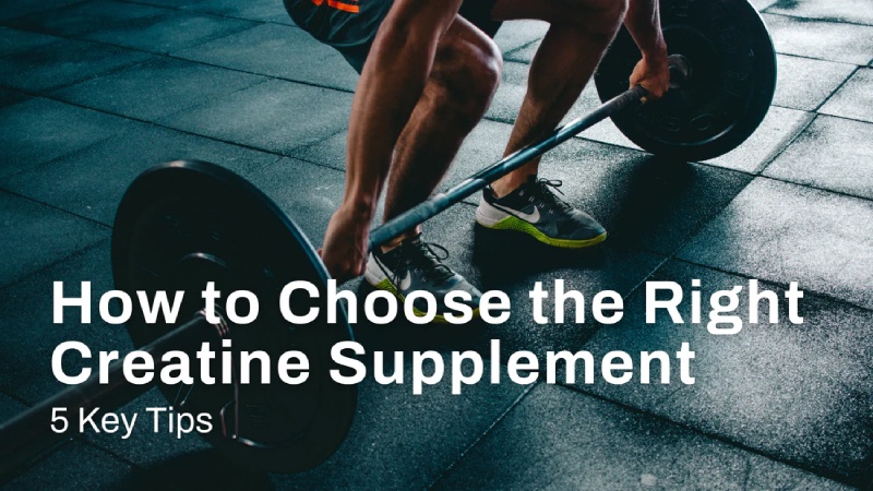 Best Creatine Alternatives to Build Muscle and Strength