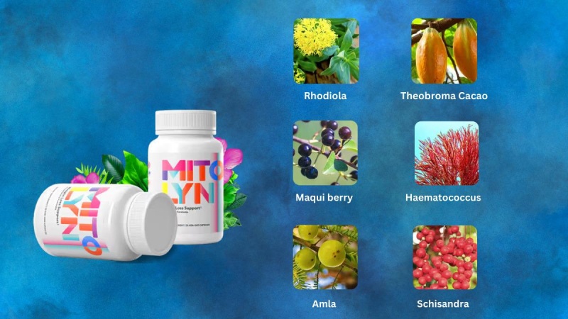 What Are The Core Ingredients In Mitolyn?