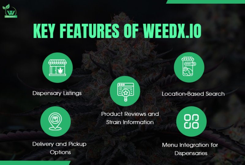 Key Features of WeedX.io