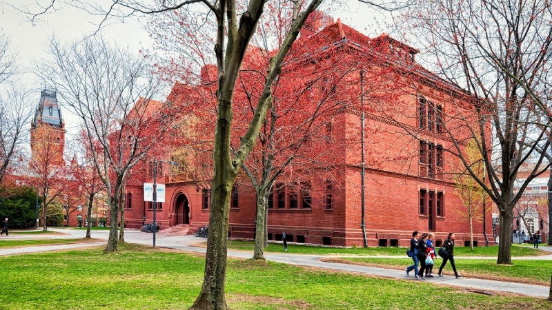 The Hidden Gatekeepers: Inside the World of Elite Graduate Admissions - Harvard University in Cambridge, MA, America