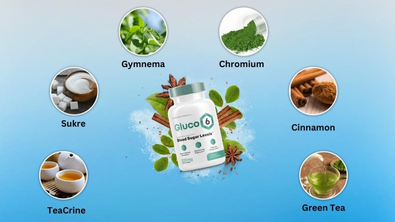 Understanding The Gluco6 Ingredients