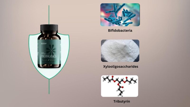 Ingredients Used To Formulate Bioma Probiotics