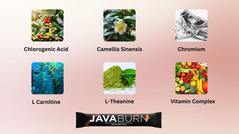 Key Ingredients Used In Java Burn Formula