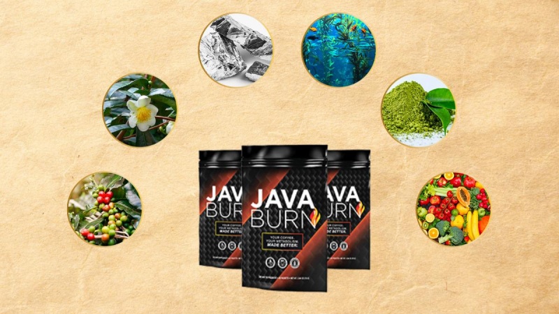 Key Ingredients Of The Java Burn Formula