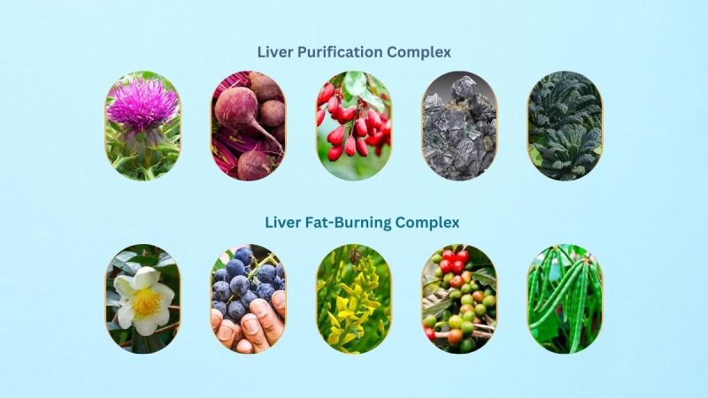 What Are The Ingredients Of Liv Pure?