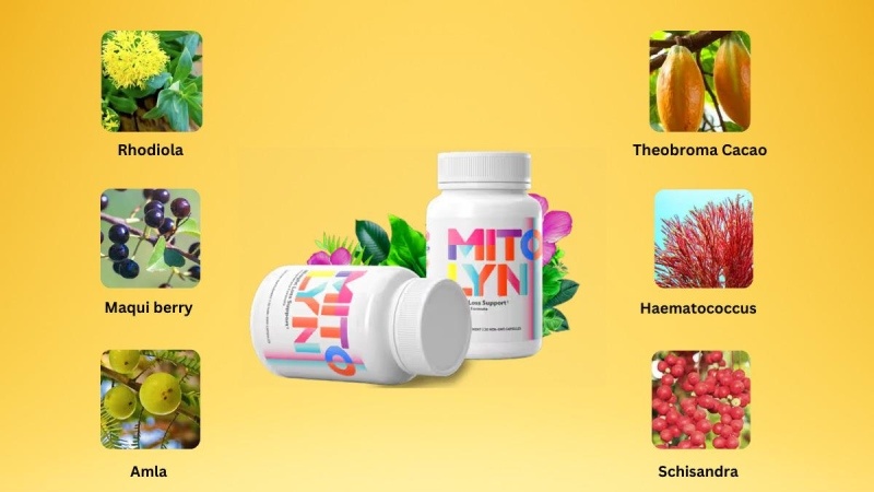 What Are The Core Ingredients Of Mitolyn?