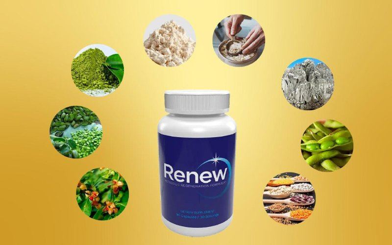 Core Ingredients Of Renew And Their Roles