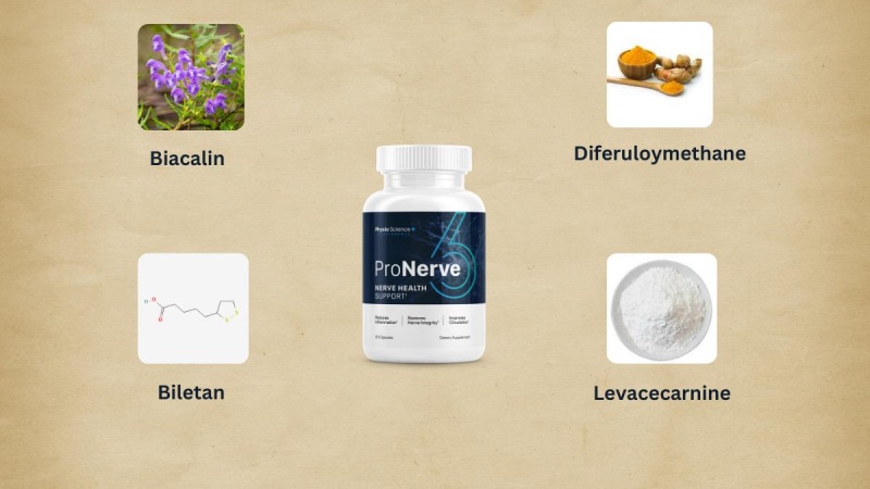 What Are The Core Ingredients Of ProNerve 6?