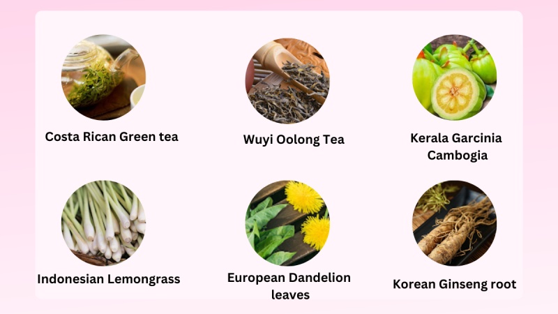 What Are The Ingredients In Slim Boost Tea?