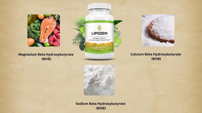 What Ingredients Are Included In Lipozem?