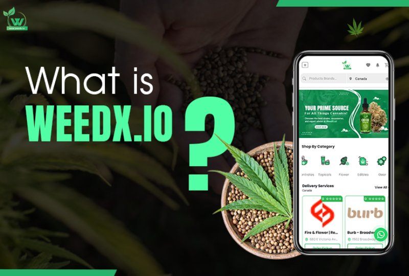 What is WeedX.io?