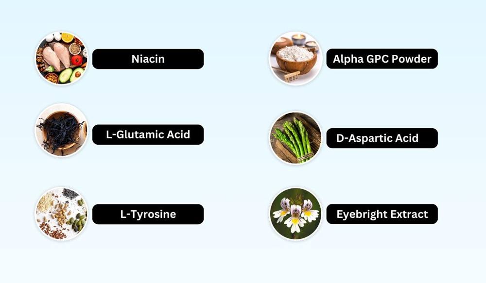 EyeFortin Ingredients And Their Role