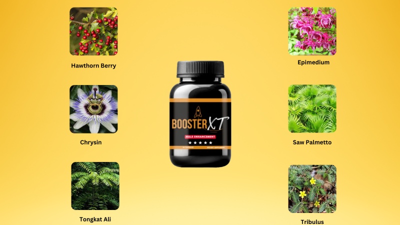 Core Ingredients In Booster XT Formula