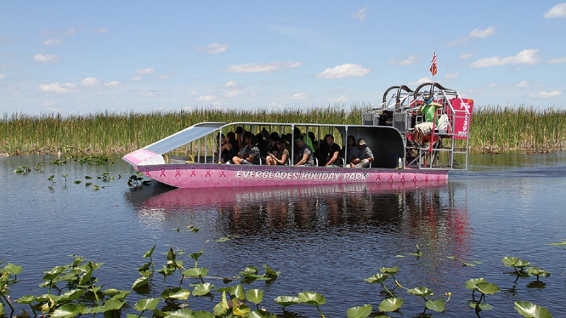 Everglades Holiday Park Voted Best Airboat Tours By USA Today