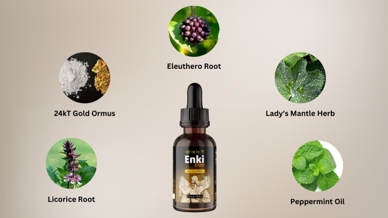 Key Ingredients Used In Enki Elixir