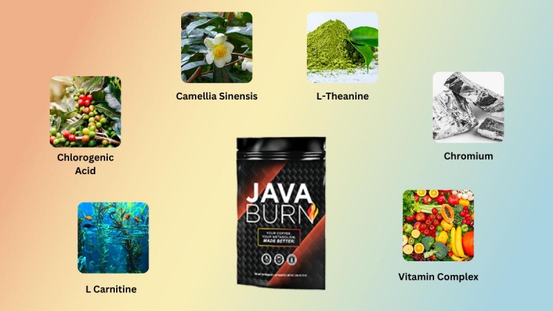 What Are The Ingredients In Java Burn?  