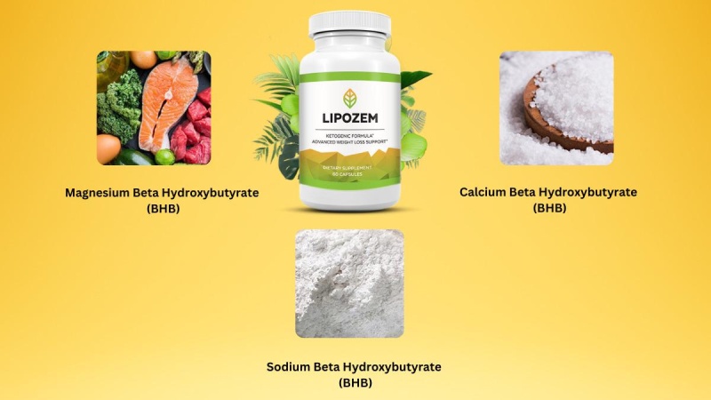 What Are The Ingredients In Lipozem?