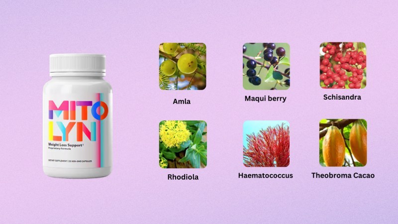 What Are The Ingredients Used In Mitolyn?