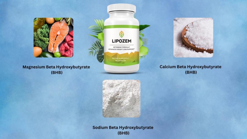 What Are The Ingredients Used In Lipozem?