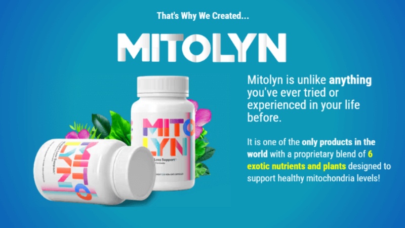 What Is Mitolyn? A Deep Dive into the Supplement Taking the Spotlight