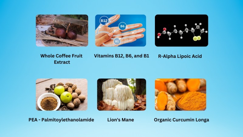 NuNerve Ingredients And Its Benefits