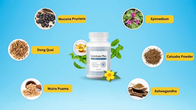 Quietum Plus Ingredients And Its Benefits