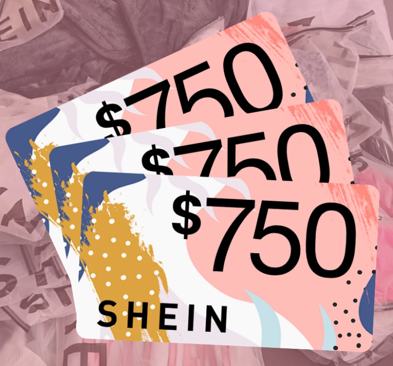 Conclusion - SHEIN gift card