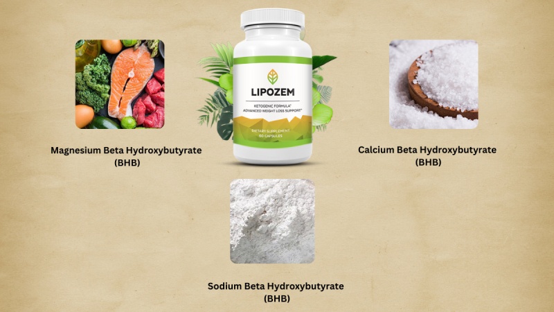 What Are The Ingredients In Lipozem