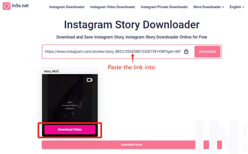 in5s Instagram Story Downloader: Step-by-step guide: Step 2
