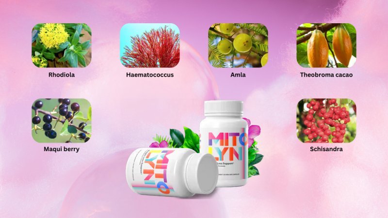 Mitolyn Ingredients And Its Benefits